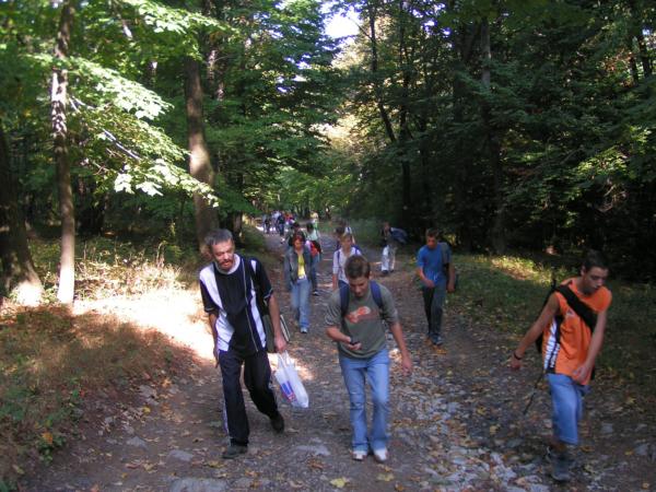 pict4733 (web)